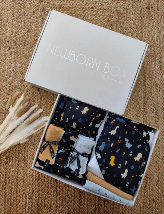 Newborn box Dinosaurs